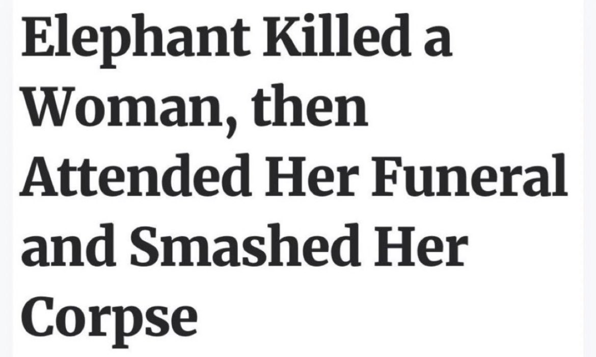 <a href="/Saharthestar/">Sahar</a> I just know she was evil