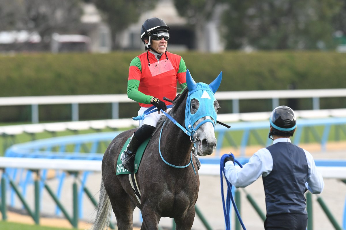 E3%82%A8%E3%83%AA%E3%82%B6%E3%83%99%E3%82%B9%E3%82%BF%E3%83%AF%E3