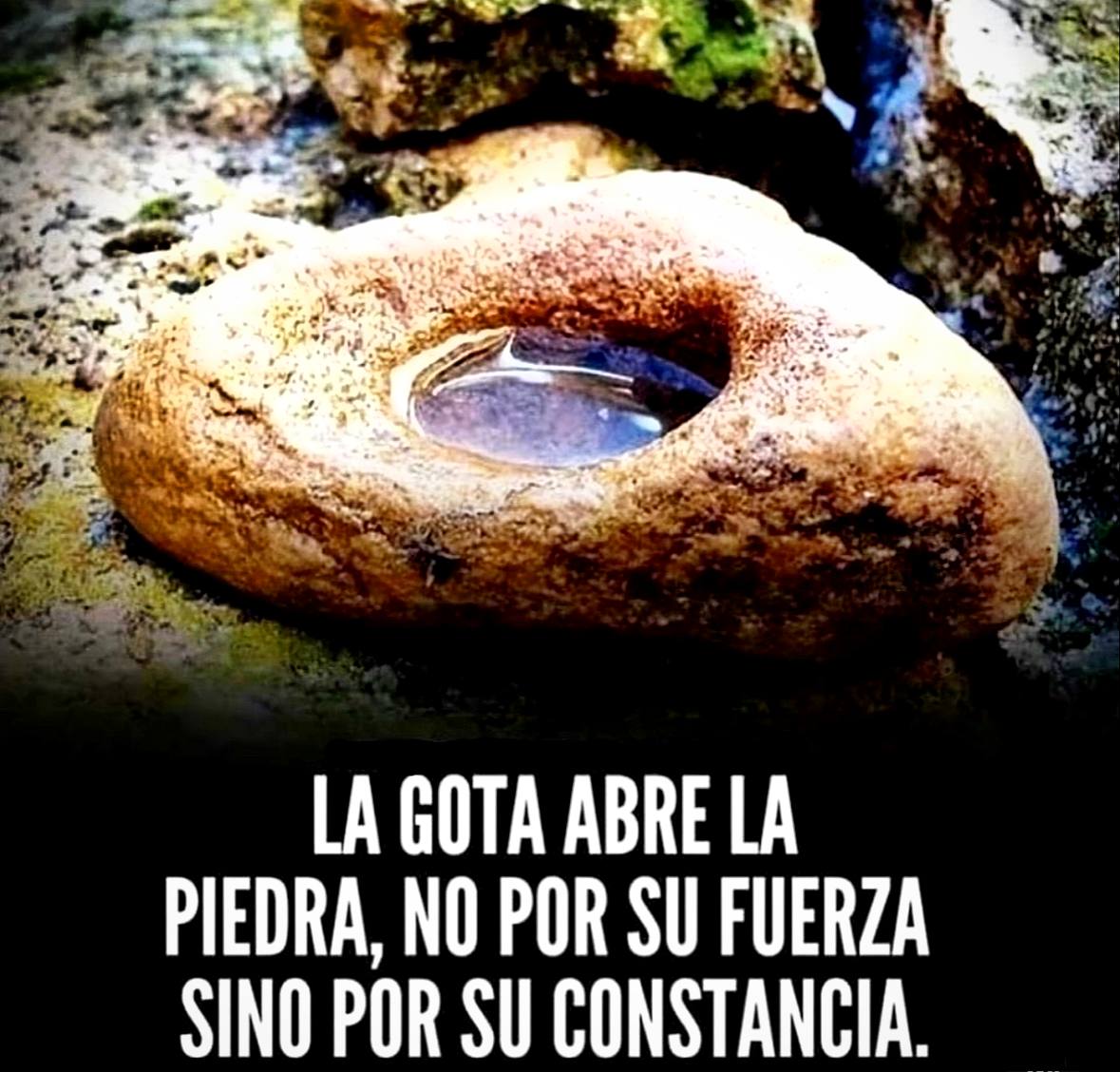 EscueladeVida21's tweet photo. https://t.co/FhCHMDKxvb