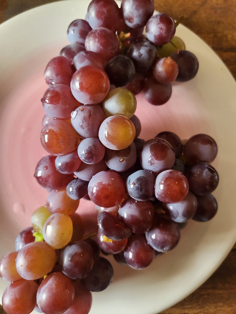 ANNE NJOM NLEND tweet media