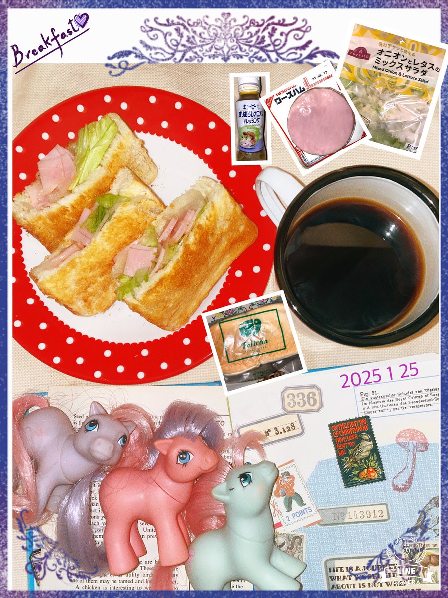 こんにちは😃お疲れ様です✨✨
2025年1月24日（土）
朝ごはん

オニオンハムサラダ🧅🥩🥗のトーストサンドイッチ🥪🍞　ホットコーヒー☕️

サクサク🍞にさっぱり🥗が
めっちゃ美味しかったです😆👍💛

#お腹ペコリン部　#明日はかずにゅんとゴツモリワールド