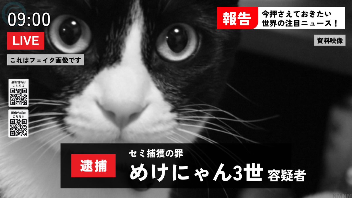 newsmaker_FanC's tweet photo. 今回実装した、画像をモノクロにできる機能
逮捕画面と相性抜群です👮
ぜひご利用ください

作成は👇
https://t.co/J95FJRSx3Z

※逮捕画面は特にフェイクニュースとの親和性が高いこともあり、「これはフェイク画像です」の表記を外すことができないようになっています https://t.co/3kxEOsaNvw