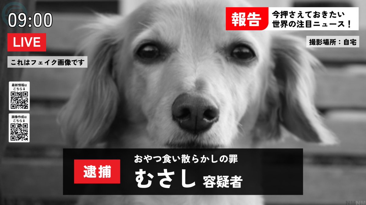 newsmaker_FanC's tweet photo. 今回実装した、画像をモノクロにできる機能
逮捕画面と相性抜群です👮
ぜひご利用ください

作成は👇
https://t.co/J95FJRSx3Z

※逮捕画面は特にフェイクニュースとの親和性が高いこともあり、「これはフェイク画像です」の表記を外すことができないようになっています https://t.co/3kxEOsaNvw