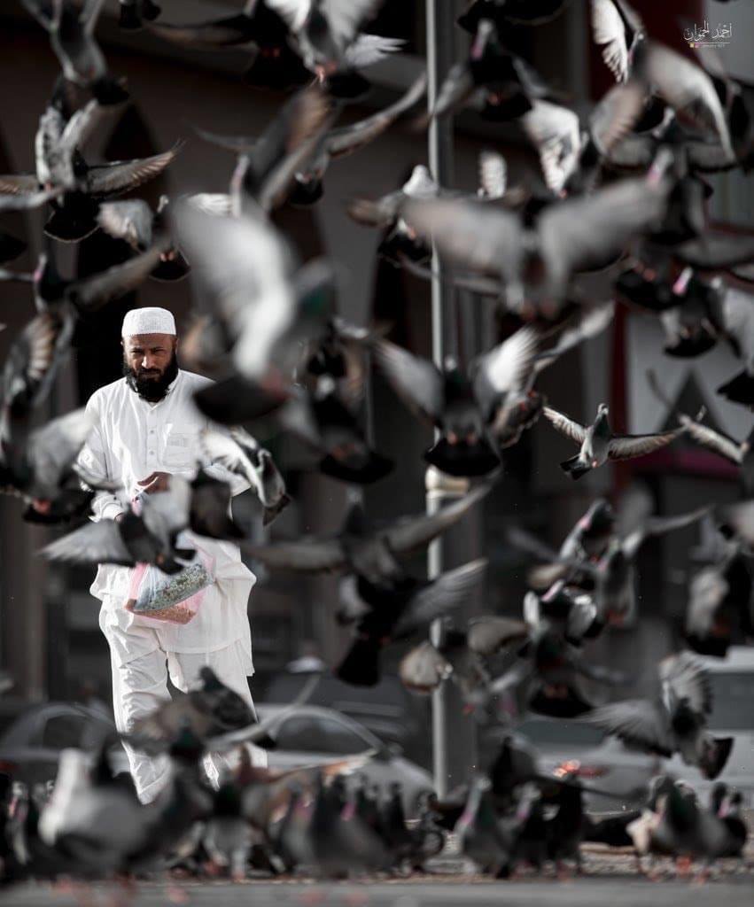 ابو فارس tweet media