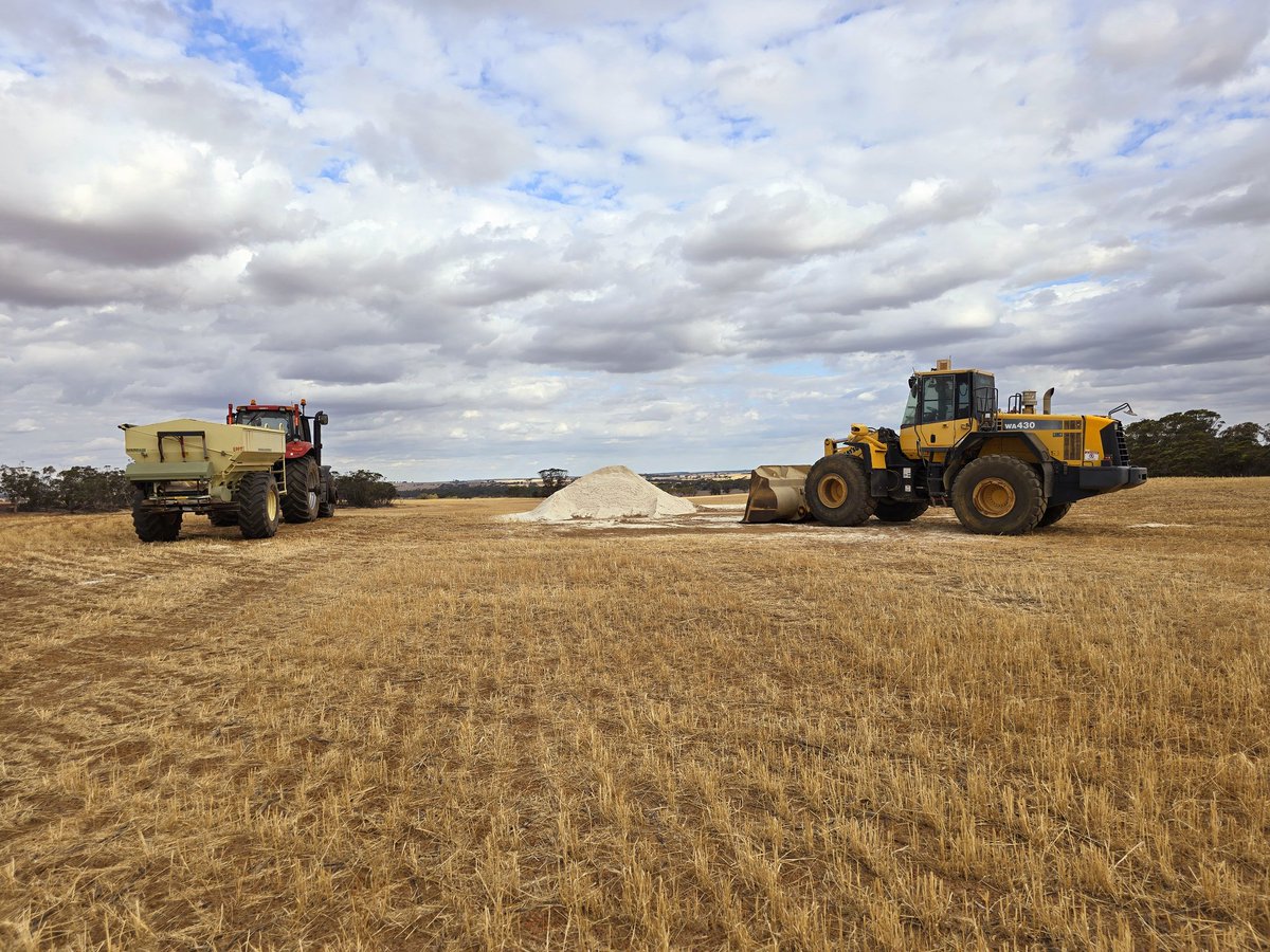 RYANKONZAG's tweet photo. This is a new one for me, first time spreading a blanket application rate of lime. Ft. my little helper for the day #wafarming #acidsoilds #soilhealth https://t.co/fhIUvML0uS