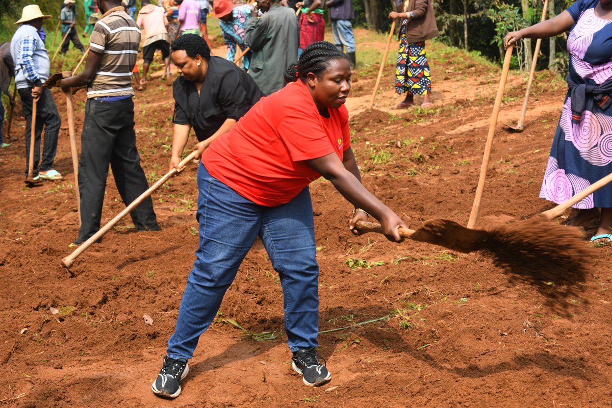 Muhangadis's tweet photo. Kuri uyu wa Gatandatu, hirya no hino mu mirenge habaye #Umuganda_Rusange usoza Ukwezi kwa #Mutarama. Ku rwego rw'Akarere, umuganda wabereye mu Kagari ka Rusovu mu Murenge wa #Nyarusange. https://t.co/SSiNaTTuMI