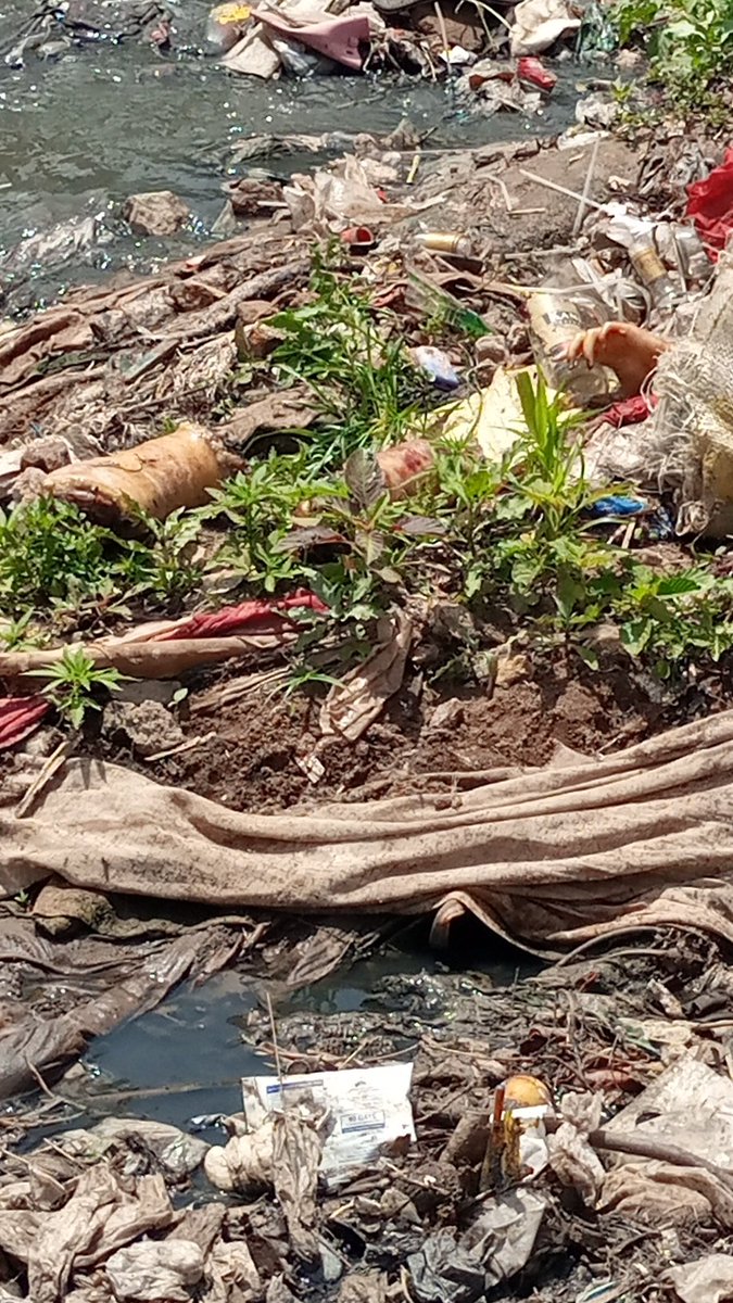 KariobangiSJC's tweet photo. Breaking News 
We are  currently at Kariobangi/ Riverside Bridge along Mathare River where a sack with different human body parts have been discovered. Police are yet to arrive on the site
@UhaiWetu @Honeyfarsafi @mukuru_cjc @happyolal @malamacowiti @DefendersKE @bonifacemwangi https://t.co/ZfRuPHrmYs