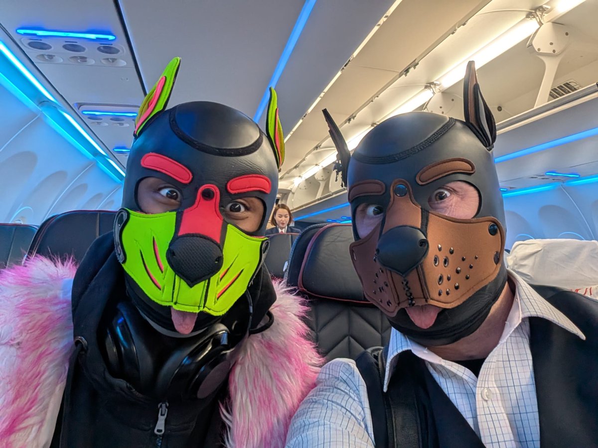 Gizmo the VII: It's cold ya'll ✨ (@gizmothevii) on Twitter photo First post of 2025 and we're doing it with bang, and by bang I mean a jet engine roaring through the sky! Dublin here we come 🇮🇪
🟫 - <a href="/PupMochaLondon/">PupMochaLondon (Handler UK)</a> First post of 2025 and we're doing it with bang, and by bang I mean a jet engine roaring through the sky! Dublin here we come 🇮🇪
🟫 - <a href="/PupMochaLondon/">PupMochaLondon (Handler UK)</a>