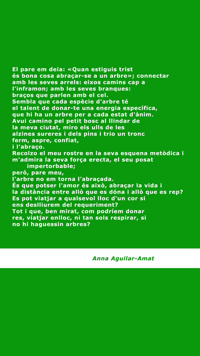 Bctuab's tweet photo. A la #bctUAB hem plantat un bosc que, alhora, és una exposició.
📌"La Pell dels Nostres Arbres"
🔗https://t.co/gtWMkhxj0X

I d'#arbres ens parla també l'Anna Aguilar-Amat.

#BibExposUAB #CiènciaiPoesia @lauramorron @CristinaSopena1 @Poetria_cat https://t.co/WmHwuzc3Re
