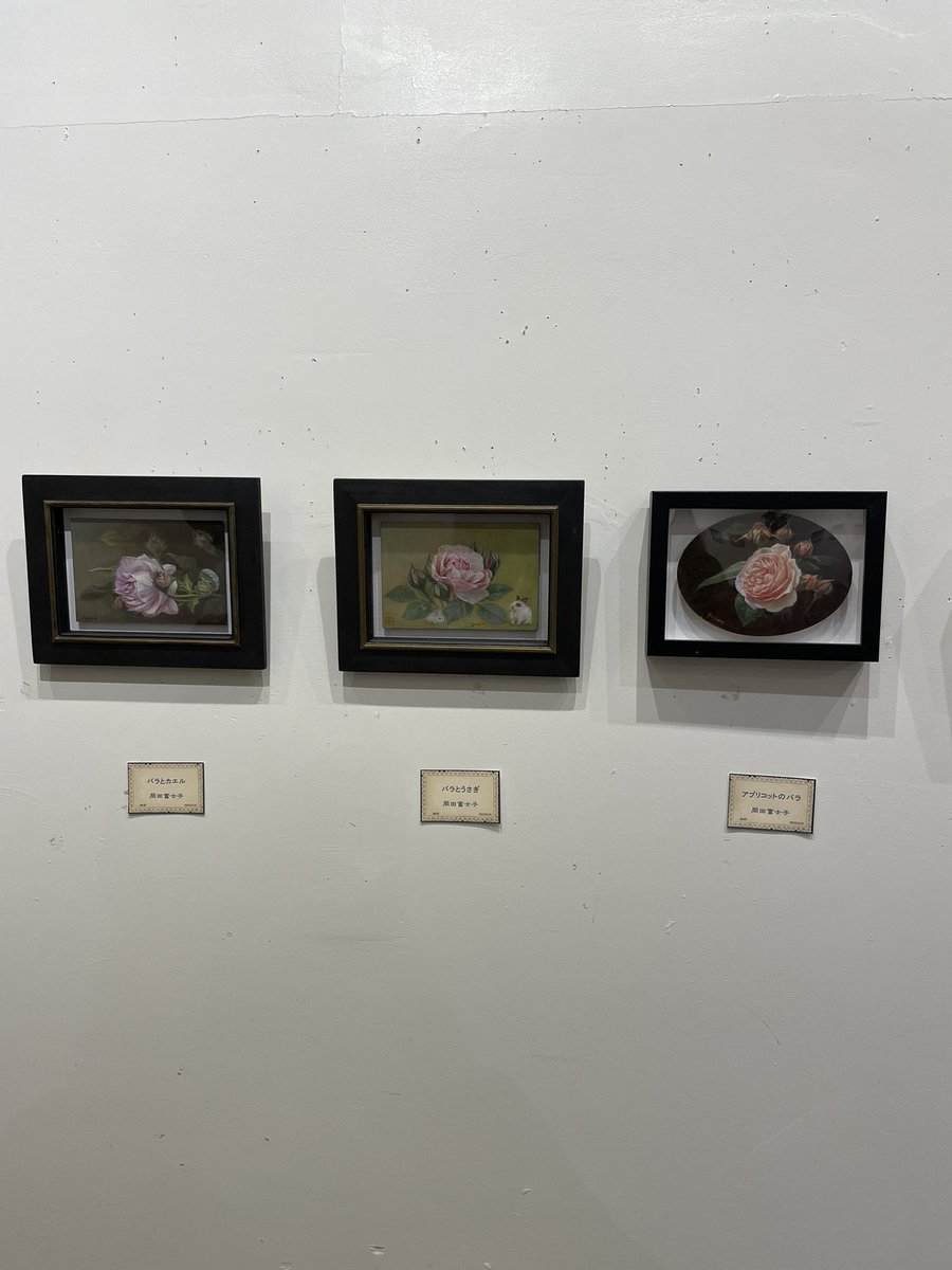 junopii's tweet photo. 2025
笑福巳年
小さなアート展

1/25(土)〜2/2(日)
休廊日　1/29-1/30

(場所)
アートスペースBASAC

ハガキサイズの絵を3点
出展しています

宜しければお立ち寄り
頂けたら幸いです https://t.co/QiTw9EF48z