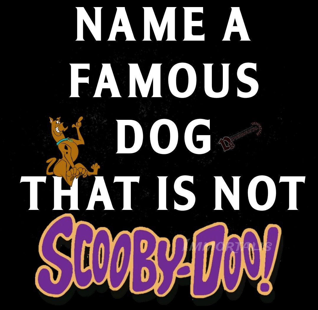 DyerbolicalDB's tweet photo. I love Scooby-Doo.

Who can name a dog that is not him? https://t.co/7ls4I5fN4J