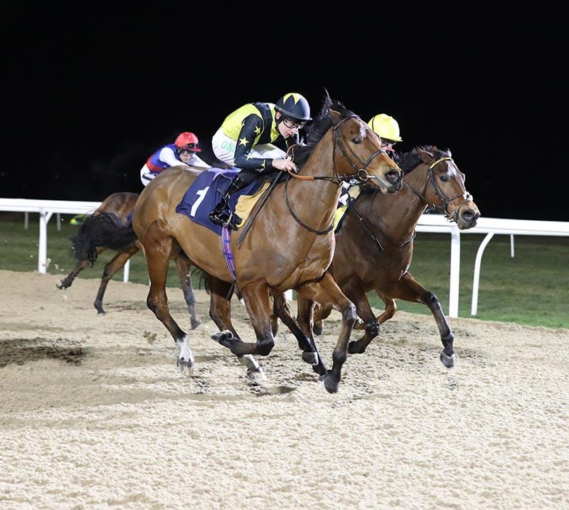 Betinfo24UK's tweet photo. ⭕️ #Newcastle 

1st Race - 4.04
Last Race - 7.05

Get Two Free Tips ⬇️
https://t.co/Jok0bMrc4Z

#Bettingtips  
#Newcastleraces #Newcastleracecourse https://t.co/X8hoaX9oCP