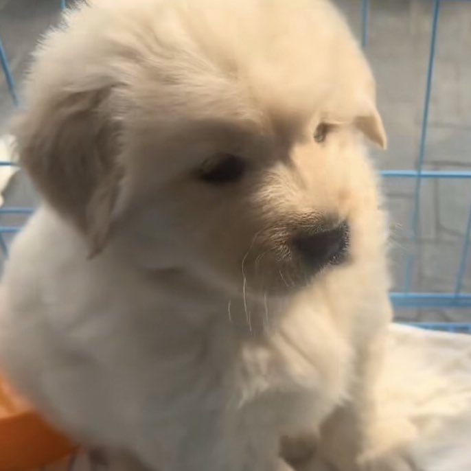 นี่ก้เสียใจเปน บอกรักเย้อะๆสะบ้าง