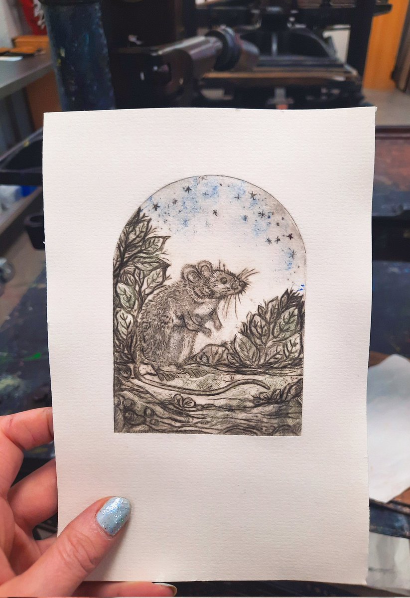 A little mouse drypoint etching! From a series I've been working on ✏️🐀
#printmaking #drypoint #ukgiftam