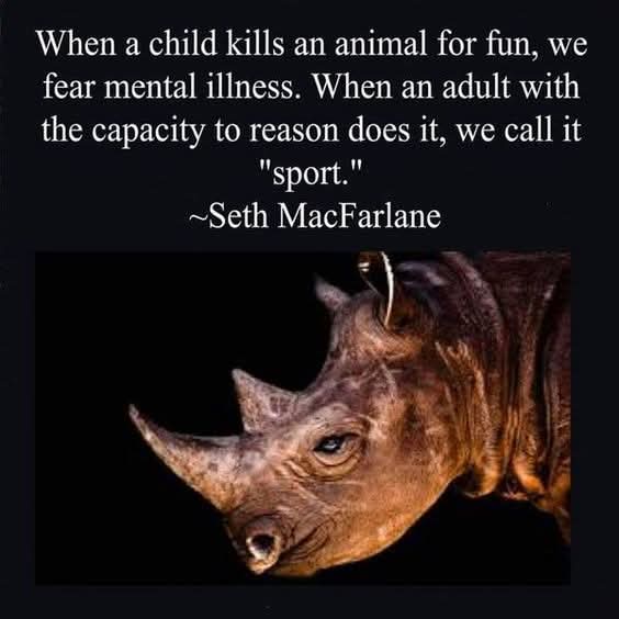 Dervilla(v) tweet media