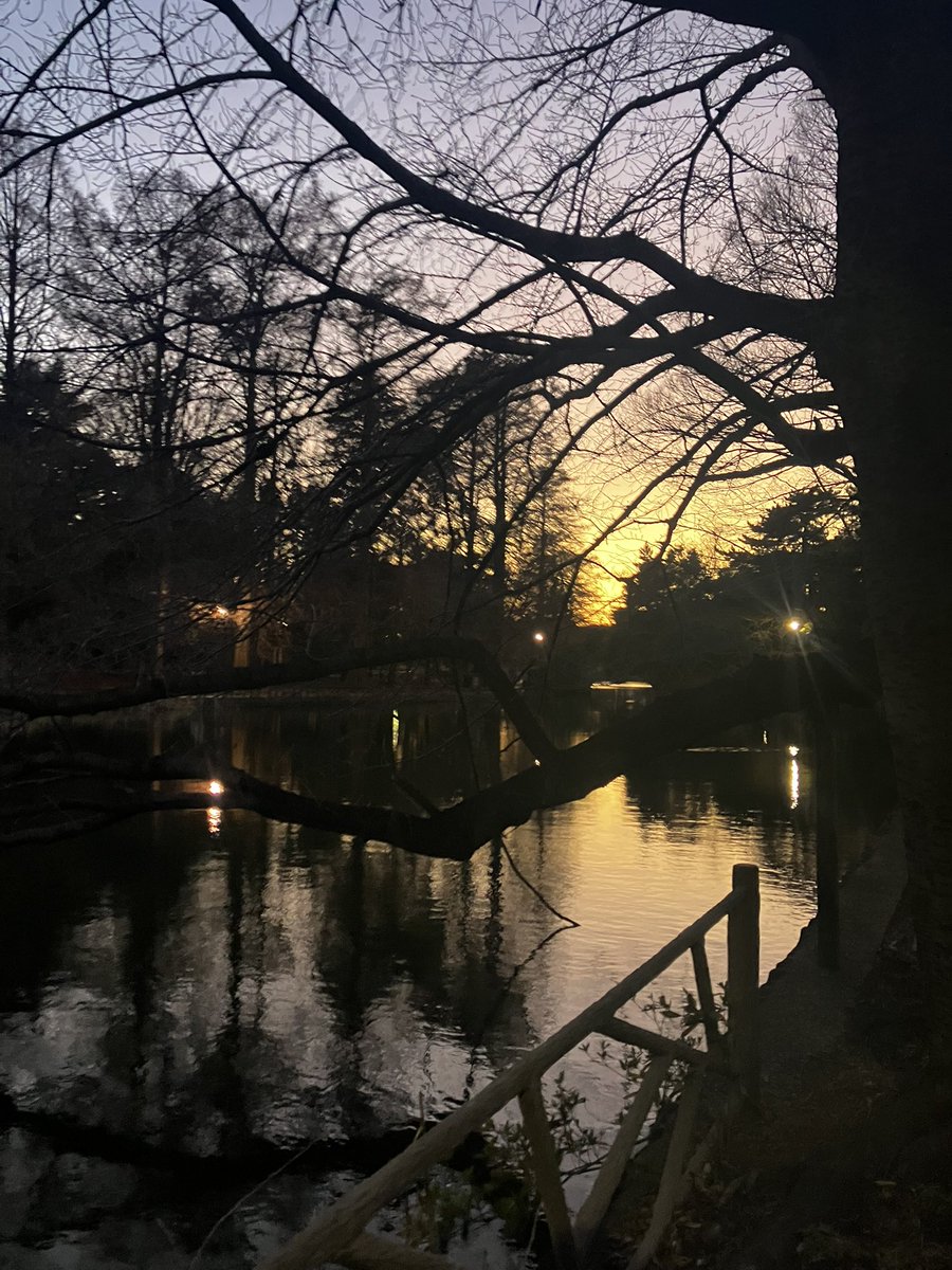 runforFUN483974's tweet photo. 久々の夕方ラン10.5km
池に映る夕焼けがなんかいい雰囲気🦆🌆✨ https://t.co/btzeXlozSt