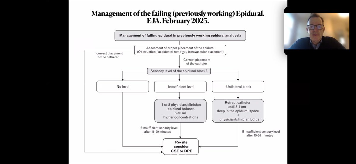 Lua Rahmani tweet media