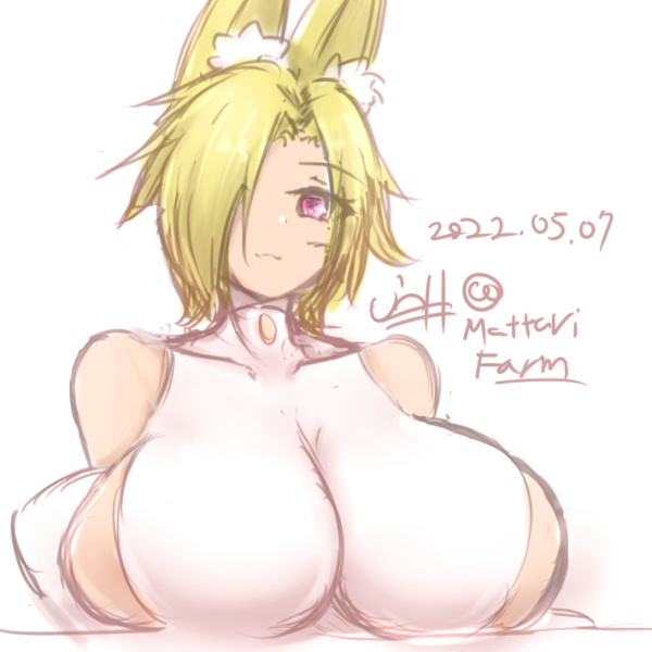 このラクガキいつみても「どたぷん」感が出てるなぁと自画自賛してる。
清書で柔らかそうな質感にするやり方ぜんぜんわからん! 