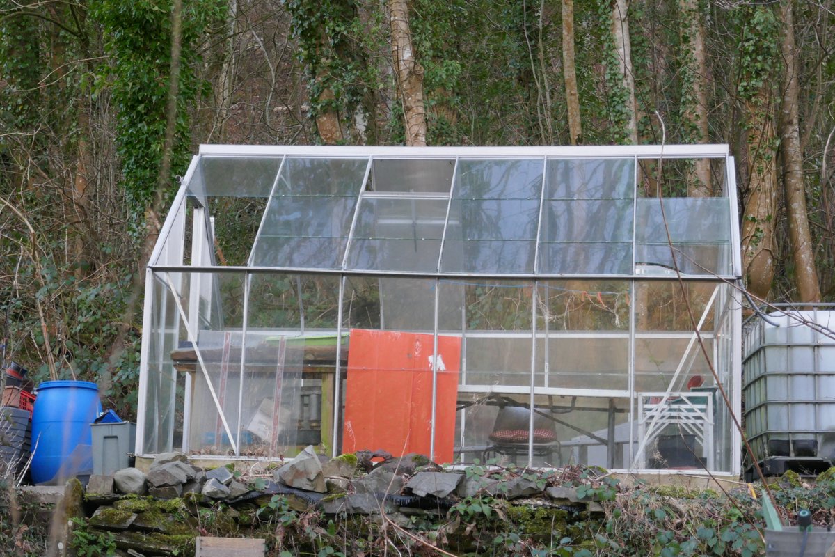 TheLengthsman's tweet photo. Big greenhouse has lost a few panes in the allotment, roofing felt blown off me shed and little greenhouse unscathed !
#damagereport https://t.co/aLHLK5la3t