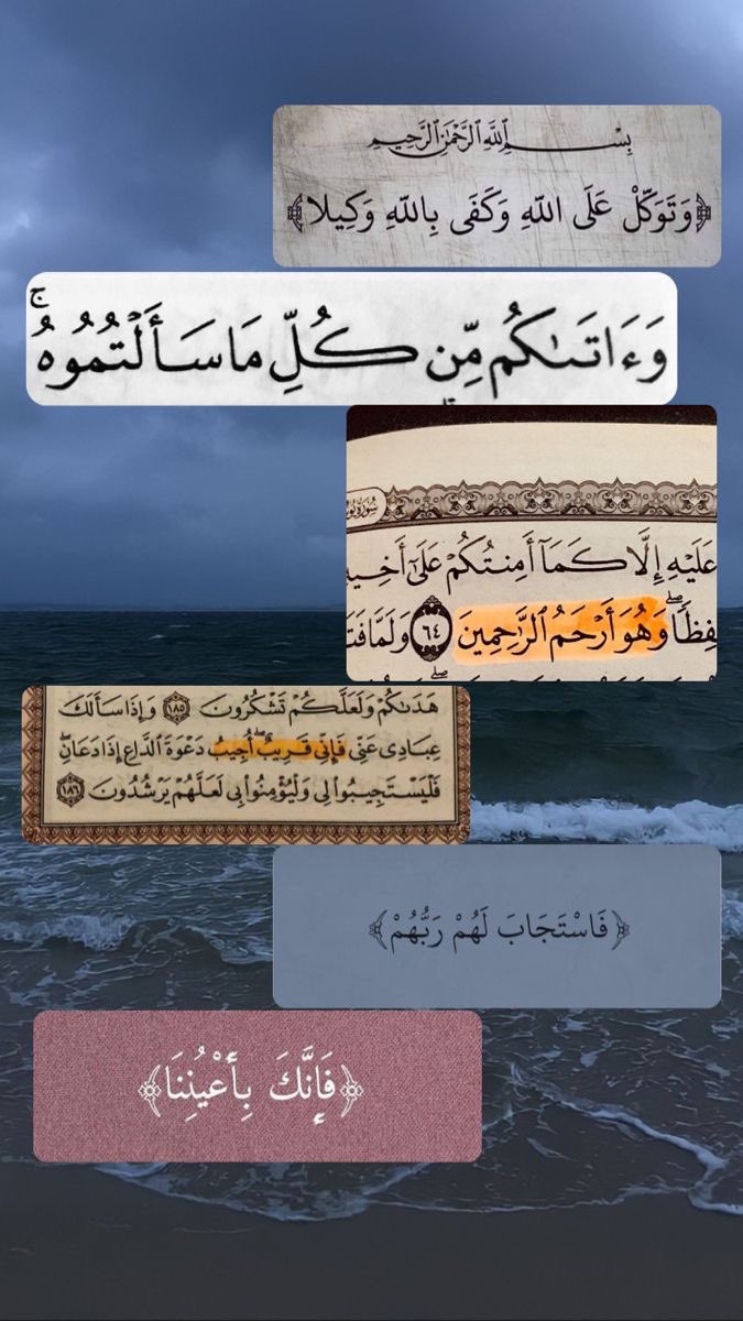 nw019's tweet photo. #عبارات_سنابيه يارب ترحم ابوي وتغفر له وتحسن اليه وترزق اضعاف اضعاف اللي يتصدق عنه وتبارك له في ماله وعمره وصحته 

https://t.co/8PRrMP5gXt 

https://t.co/8PRrMP5gXt https://t.co/CTq2MSLdBj