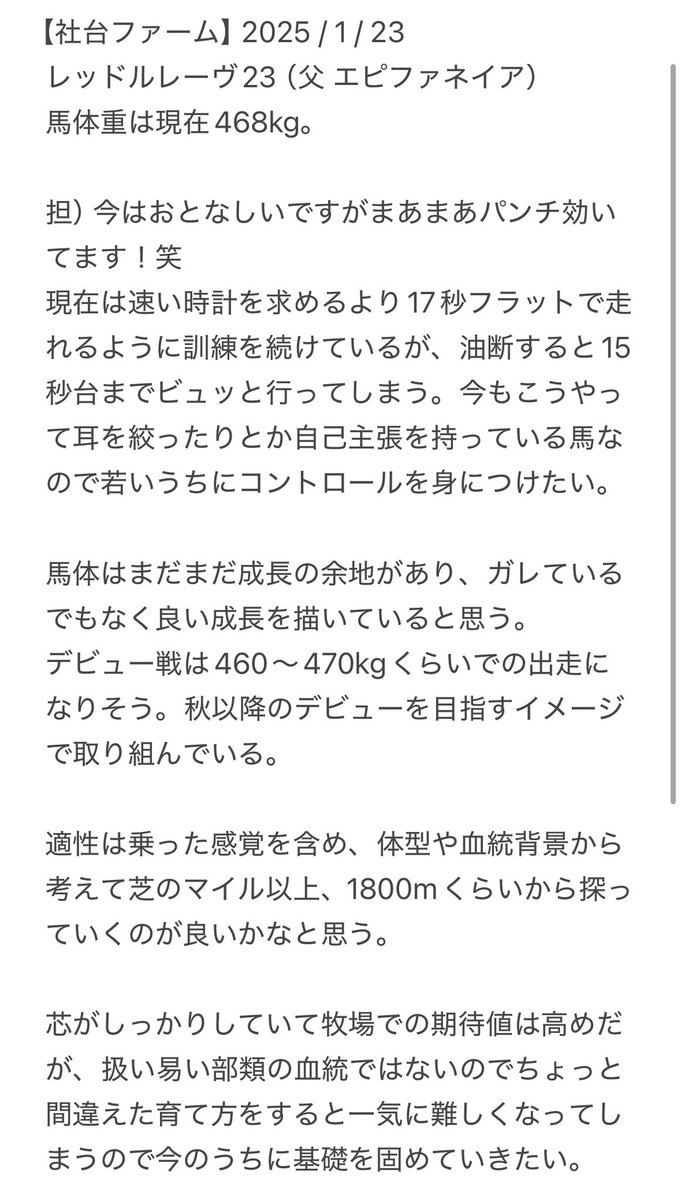 KAWAZO001's tweet photo. 2025/1/23  社台ファーム見学報告
東京サラブレッドクラブ
レッドルレーヴ23 牝（父 エピファネイア）

歩様動画をご覧になられたい方はご連絡いただければDMにてお送りいたします。
※既にご連絡いただいている方へは順次お送りいたしますので今しばらくお待ち下さい。 https://t.co/9QeGumLxGZ