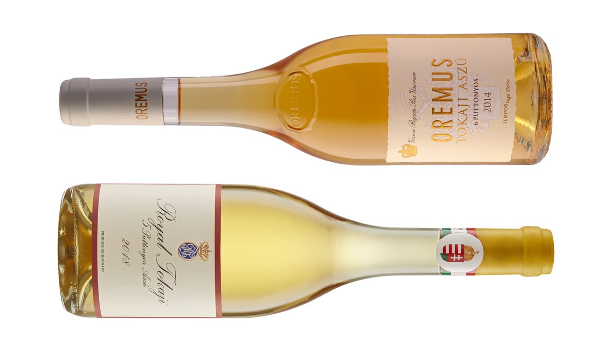 Gergely Somogyi tweet media