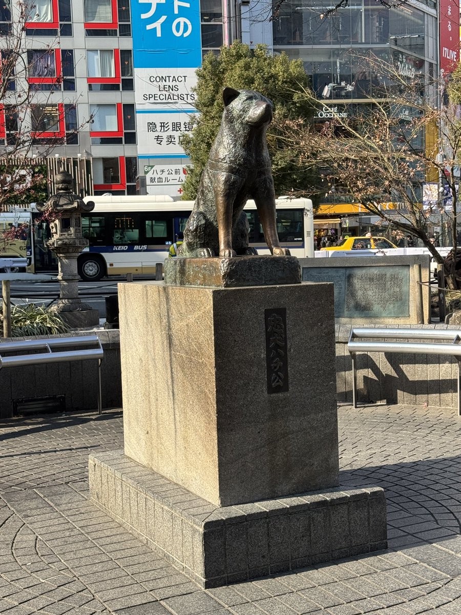RAIFU8810's tweet photo. 昨日から今朝まで東京
昼から夕方まで福岡
これから熊本
明日熊本から朝福岡でそこから佐賀

過去1の移動距離かも… https://t.co/YiMLWqaZF0