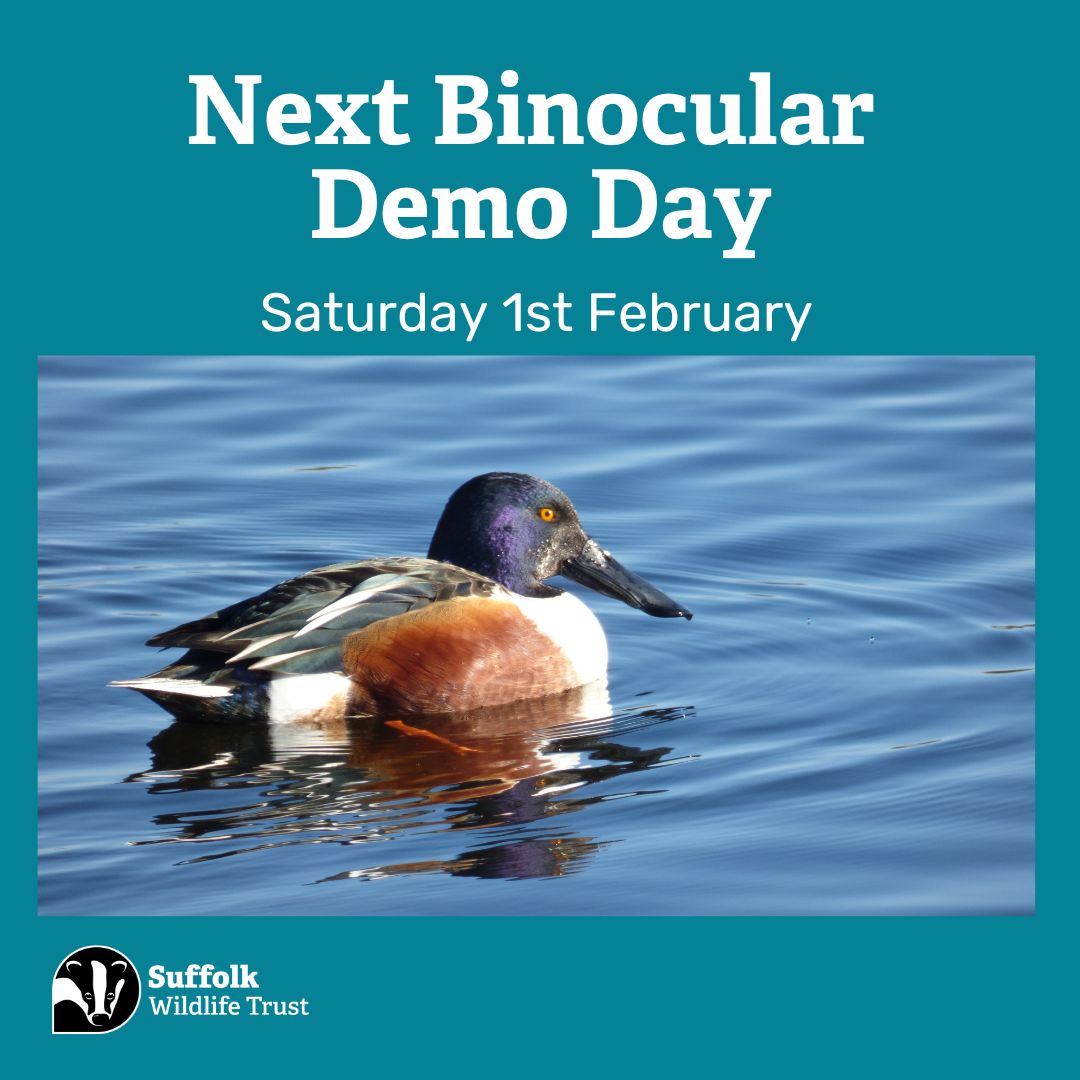 SWTLackfordLakes (@swtlackfordlake) on Twitter photo 