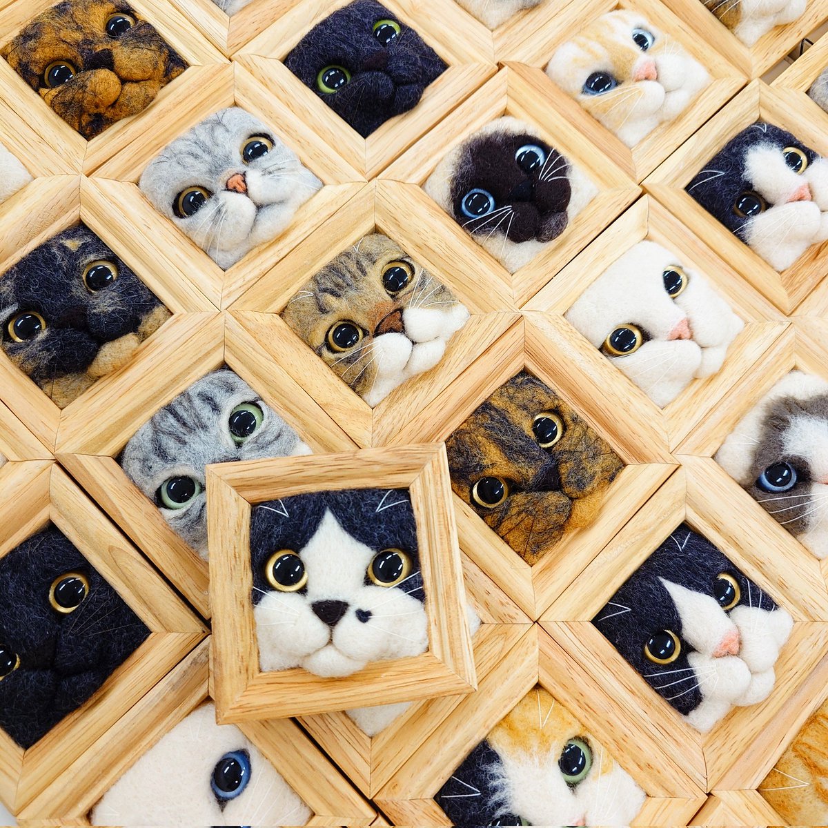 fujita_satomi's tweet photo. お待たせいたしました〜🎁
【5555フォロワー達成プレゼント企画😺 】を開催いたしまーす🍀

〚オーダーで猫フレーム作ります♪〛

画像1枚目の募集要領をよく読んで応募してください😊

▶応募方法①フォロー②リポスト③猫の顔の写真添付

コメントも歓迎！

▶締め切り　1/30㈭23:00

#羊毛フェルト
#猫フレーム