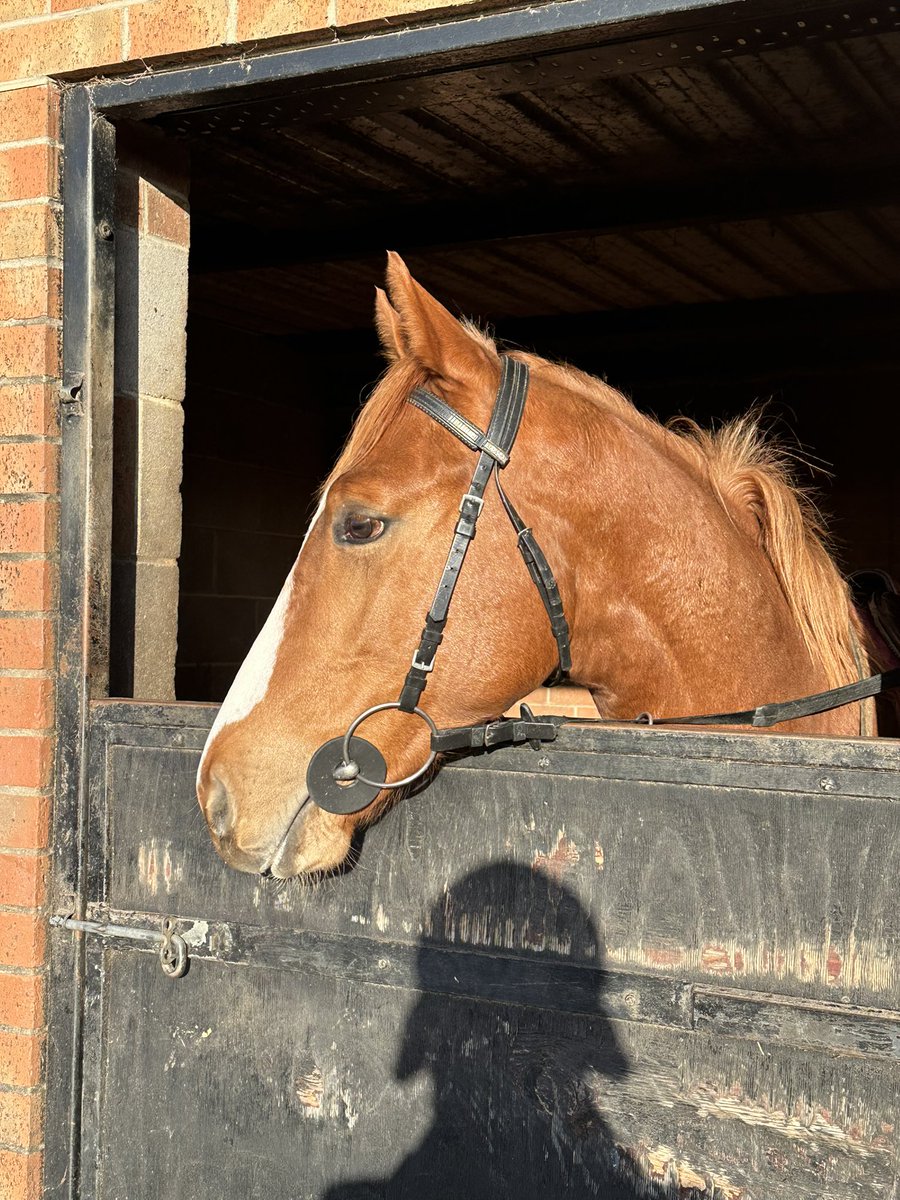 Mayflower Racing tweet media