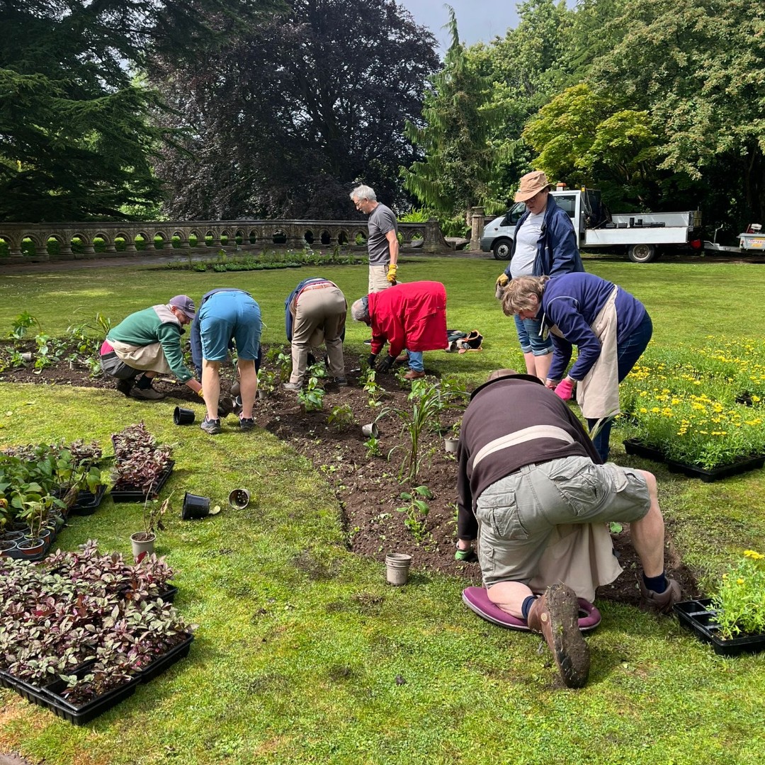 Join Our Volunteer Team at Insole Court! We’re powered by our incredible volunteers. Whether interested in history, gardening, or events, there’s a role for you! 📧 Email enquiry@insolecourt.org to learn more or apply. Together, we can keep Insole Court thriving!