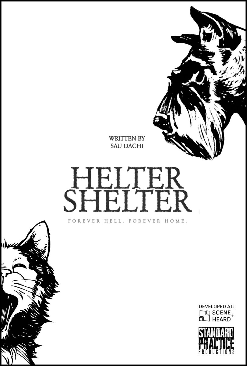 Cathy Orr tweet media