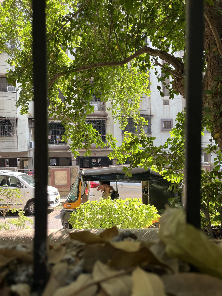 DilawarTalkies's tweet photo. Resting space. #MappingMumbai https://t.co/q1X7OZvkcy