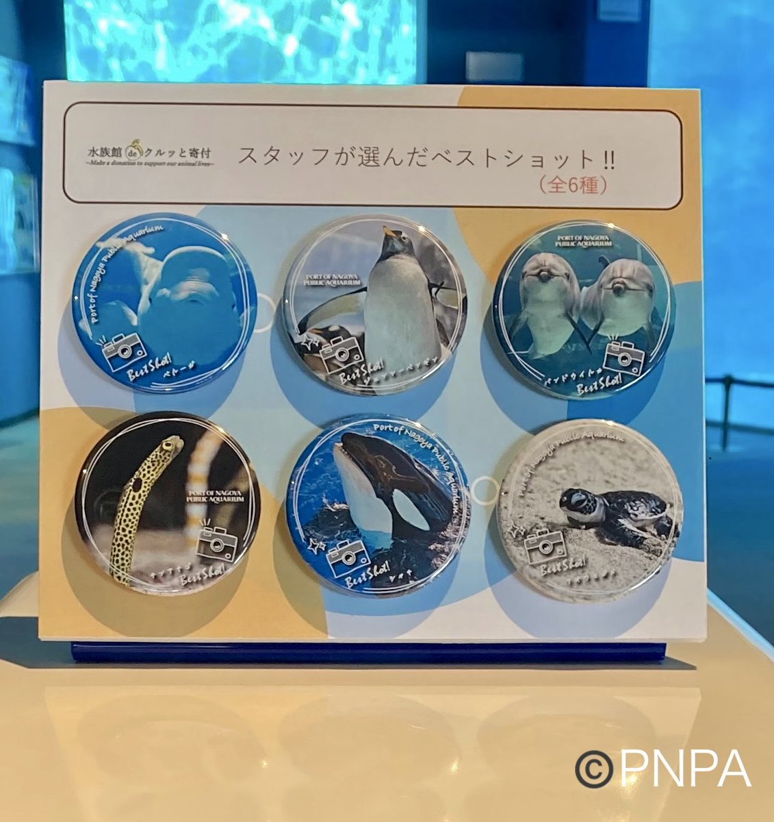 名古屋港水族館 ガチャ カプセルトイ クルッと寄付 潜水服 缶バッジ　全4種 本日から、生き物の暮らしを応援していただく「 #水族館deクルッと寄付