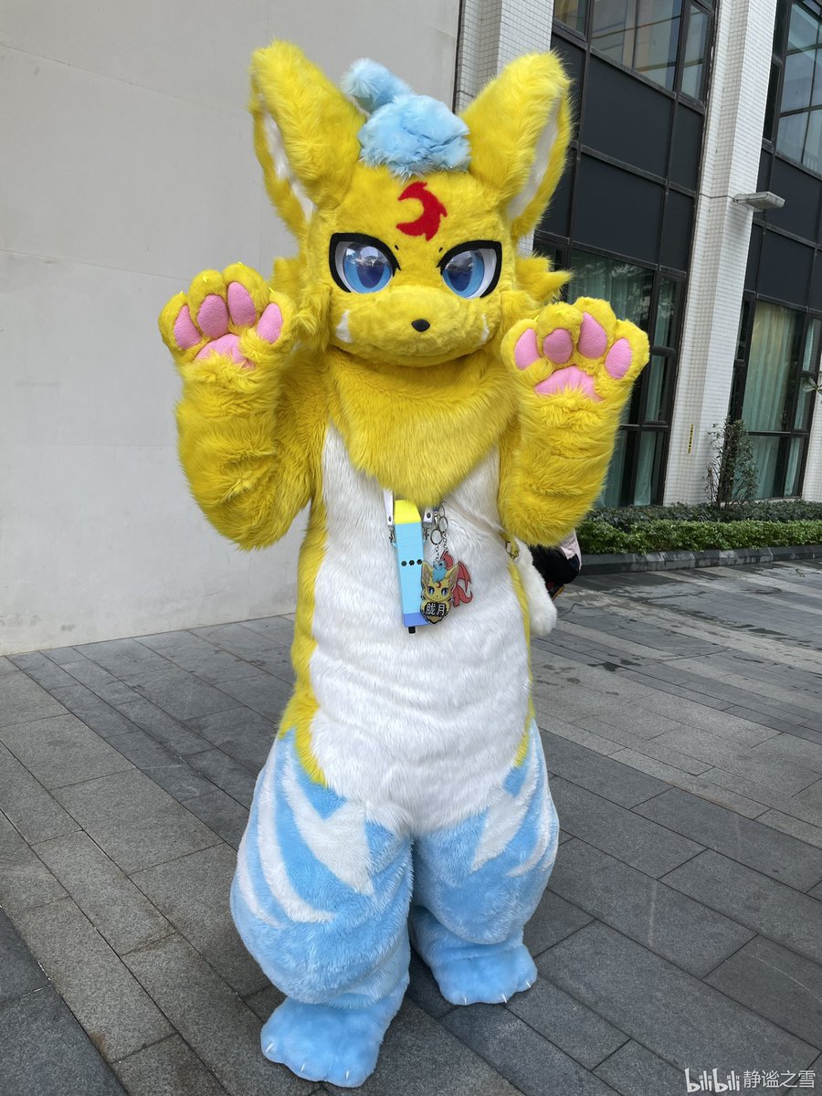 #FursuitFriday 展后第一张毛五！