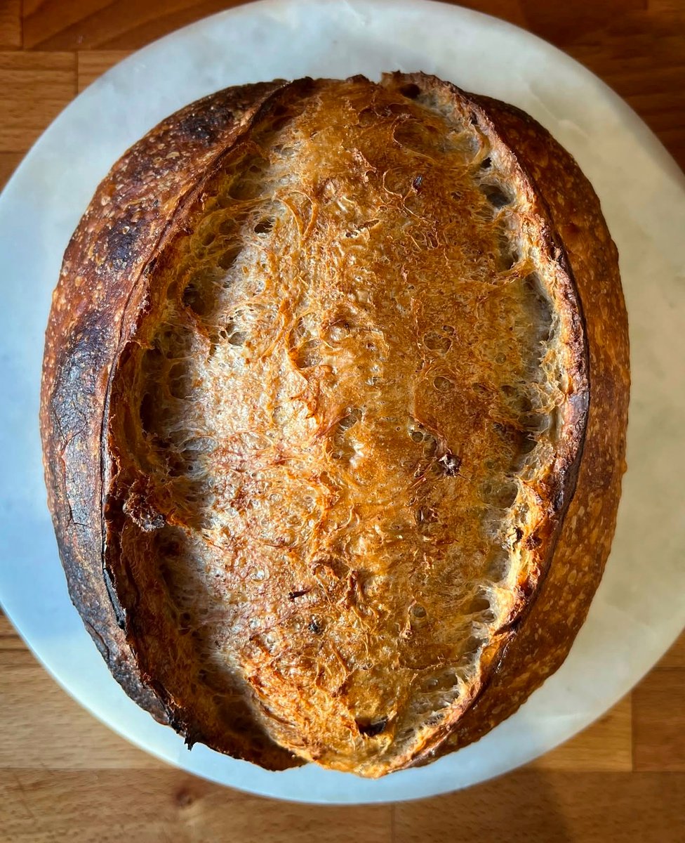 CotswoldFlour's tweet photo. Fresh out of the oven! 🍞✨ @she.bakes.bread crafted this gorgeous rye and eight grain sourdough from scratch—perfectly crusty on the outside, soft and flavorful on the inside. 😋🥖 #SourdoughMagic #HomemadeBread #RyeAndGrain #BakingFromScratch #BreadGoals https://t.co/Ig8jsBw4Kl