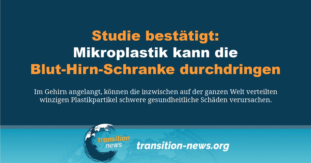 C_Transition2's tweet photo. Von der #Umwelt gelangen solche #Partikel auch in Pflanzen, Tiere und #Menschen. Je kleiner die Partikel, desto leichter können sie sich verteilen. So konnten sie bereits in Fäkalien von Säuglingen und Erwachsenen, in menschlichem Blut und in menschlichen Organen nachgewiesen werden. Und in den Organen können sie laut Wissenschaftlern der Universität des Saarlandes die #Zellmembranen mechanisch destabilisieren.

Weiterlesen ... (https://t.co/VHaIVRum62)

#transitionnews #Mikroplastik #Umwelt #Gesundheit #bluthirnschranke
