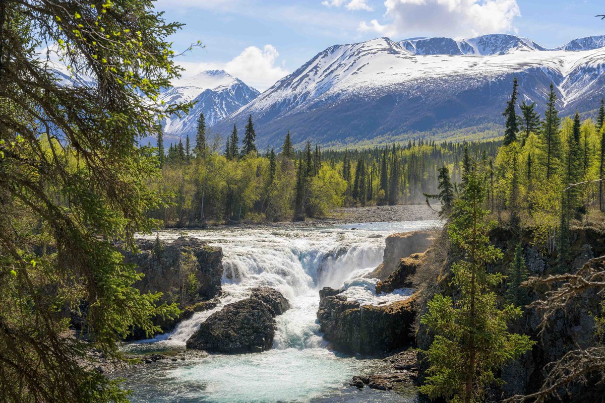 Franklin_Graham's tweet image. “This is the day that the Lord has made; let us rejoice and be glad in it.” (Psalm 118:14) #Alaska