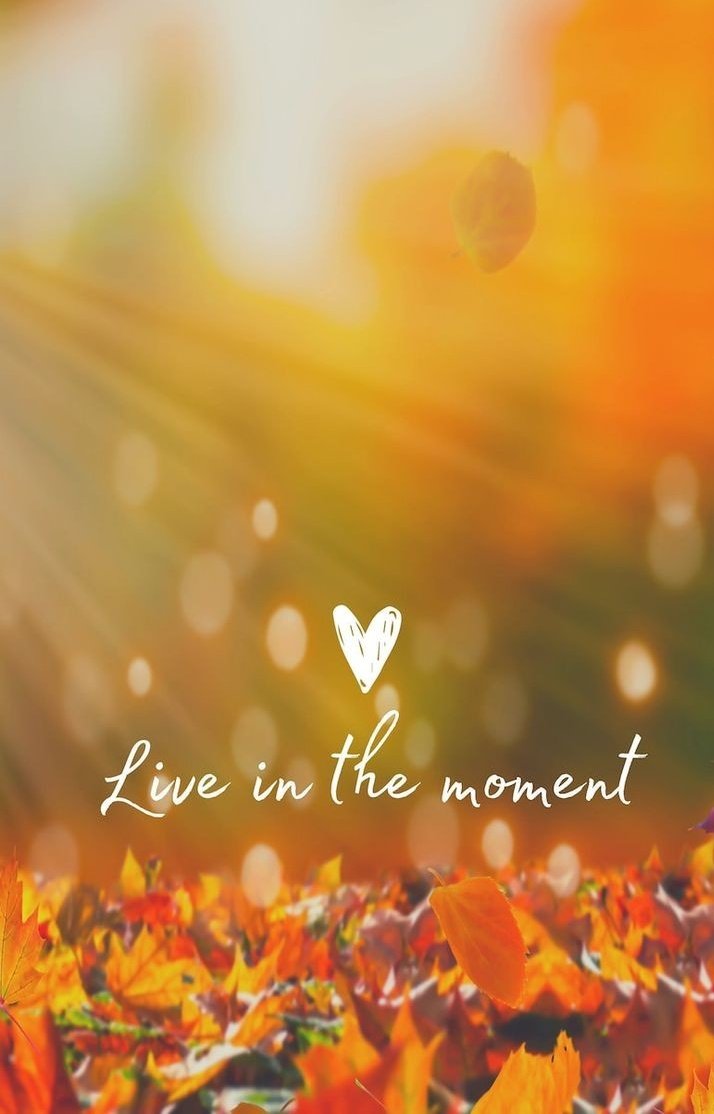 POSITIVITY (@positivitysaid) on Twitter photo 