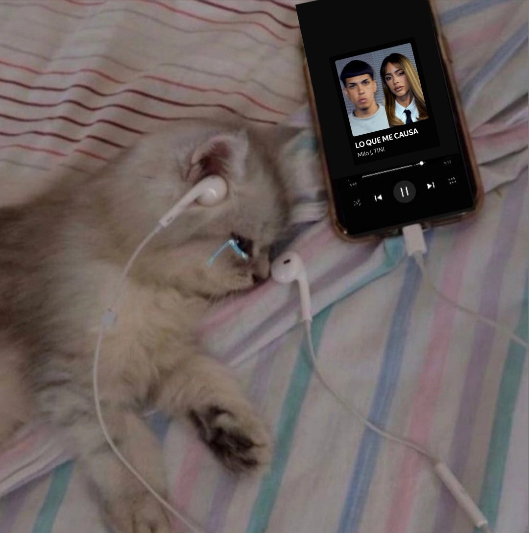 Vos y yo, sin señal de conexión
Y, aunque hoy ya no te vea
No se acaba la canción
Simplemente estaba en pausa, corazón