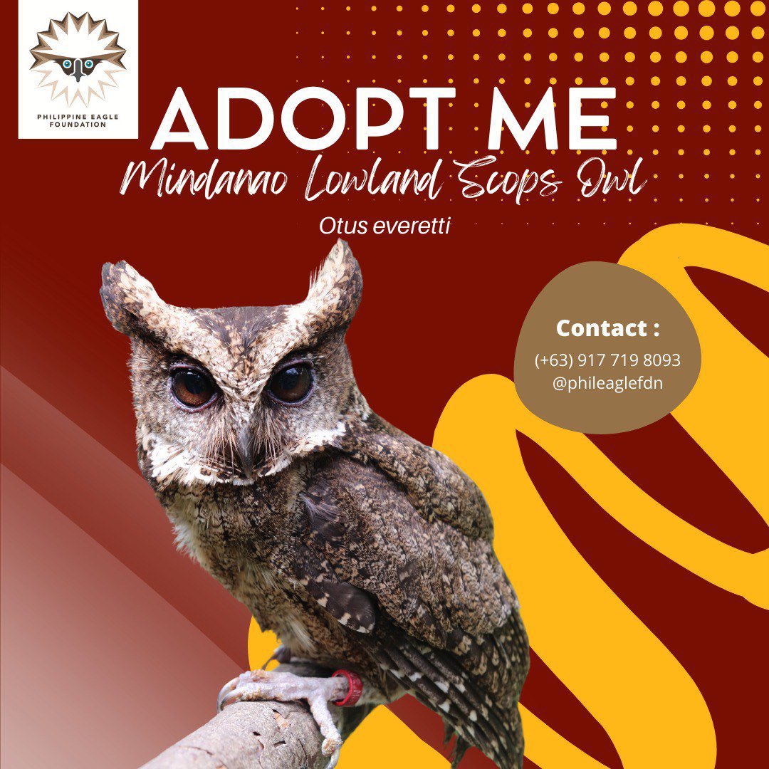 Philippine Eagle Foundation tweet media