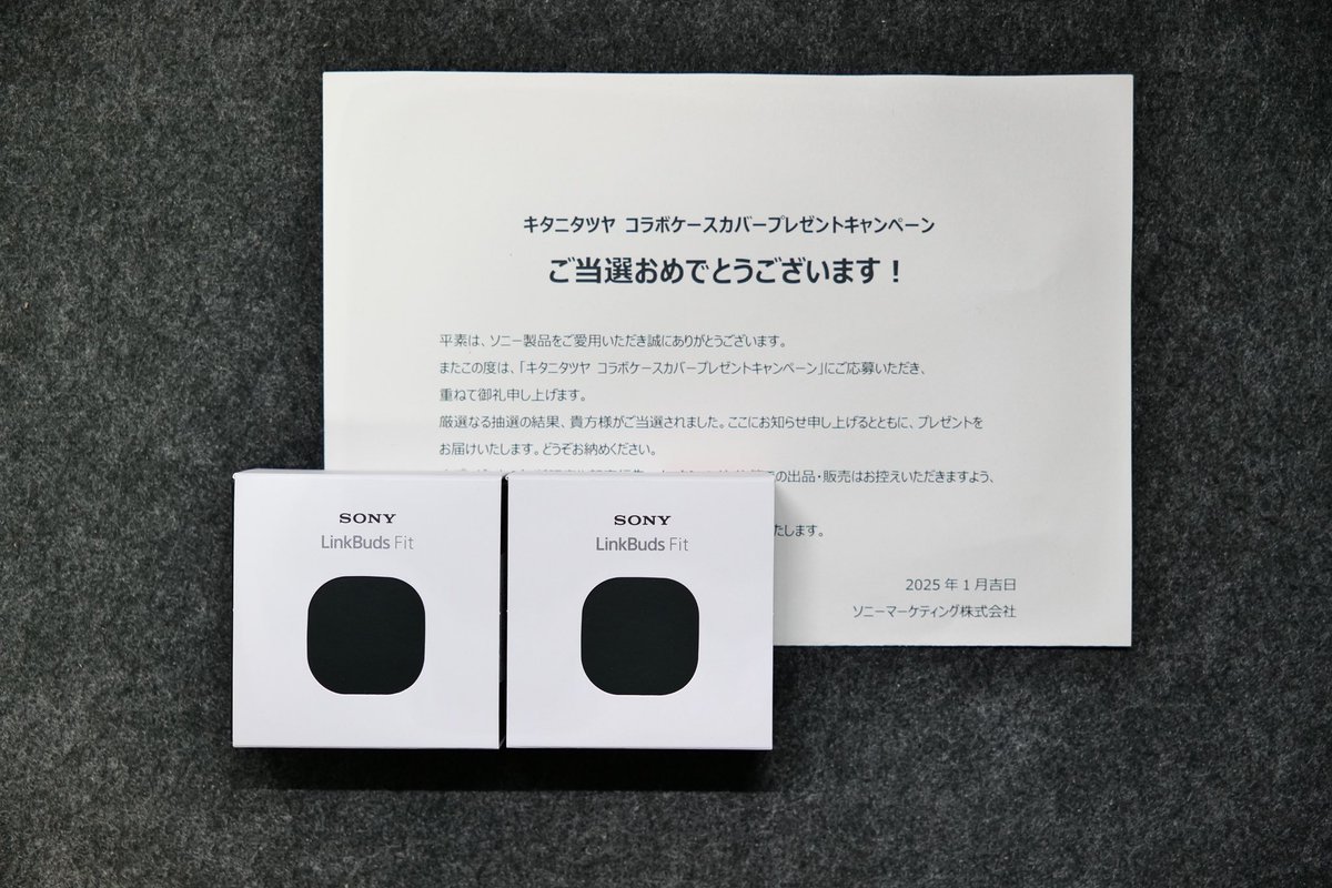 ☆新品未開封LinkBuds Fit☆キタニタツヤコラボケース