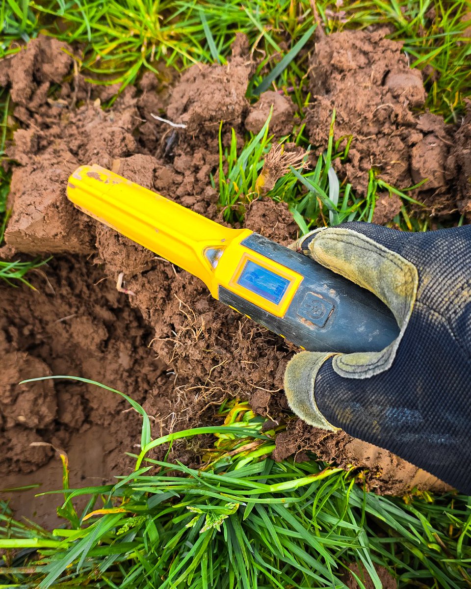 lpdetecting's tweet image. The Nokta AccuPOINT🎯 - Vivid color LCD, Bluetooth connectivity, advanced discrimination, waterproof design, adjustable sensitivity, LED flashlight, and up to 25 hours of battery life. The perfect metal detecting accessory!