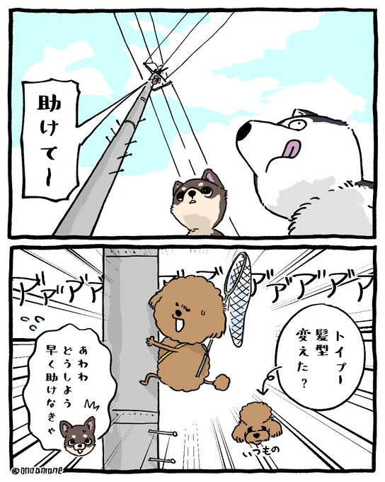 新キャラ?🐩 