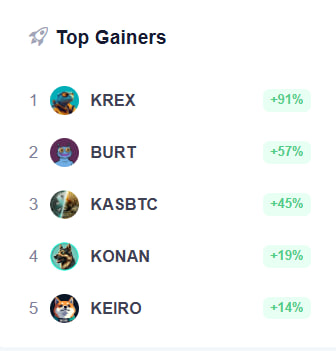 Top Gainers! 👀