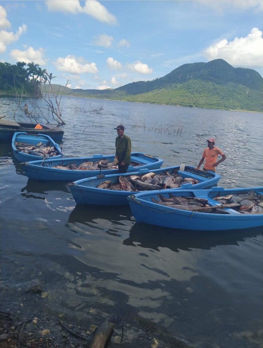 Felicidades a todos los trabajadores de la Industria Alimentaria.
#Pescamat
#MinalXMásAlimentos