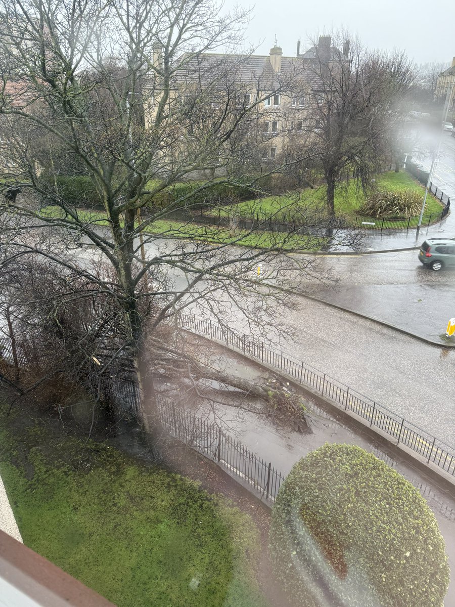 dav1dar's tweet image. Hi @edinhelp, There is a tree that has been knocked over in the storm and is blocking the pavement at the round about on Restalrig Road South at Sleigh Drive.