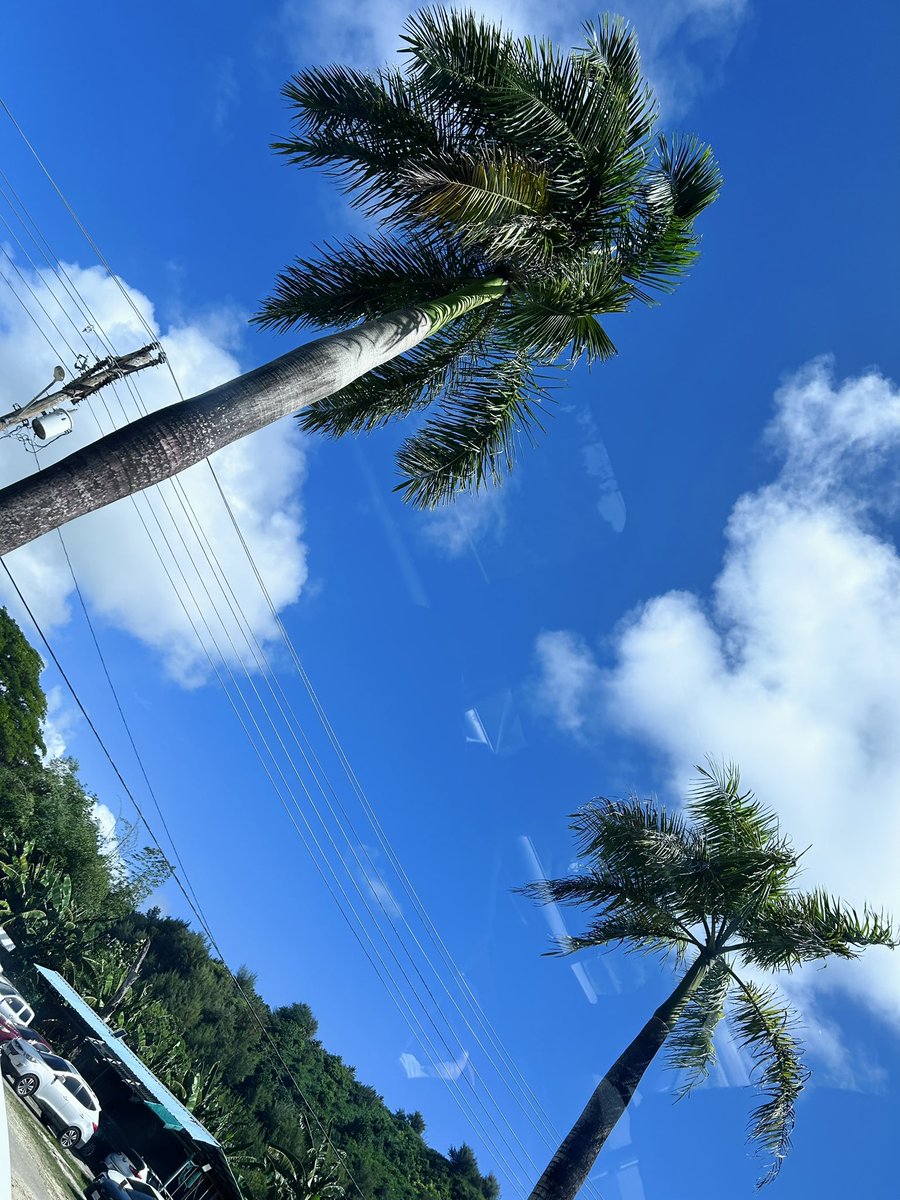 石川綾子🎻（ヴァイオリニスト） tweet media