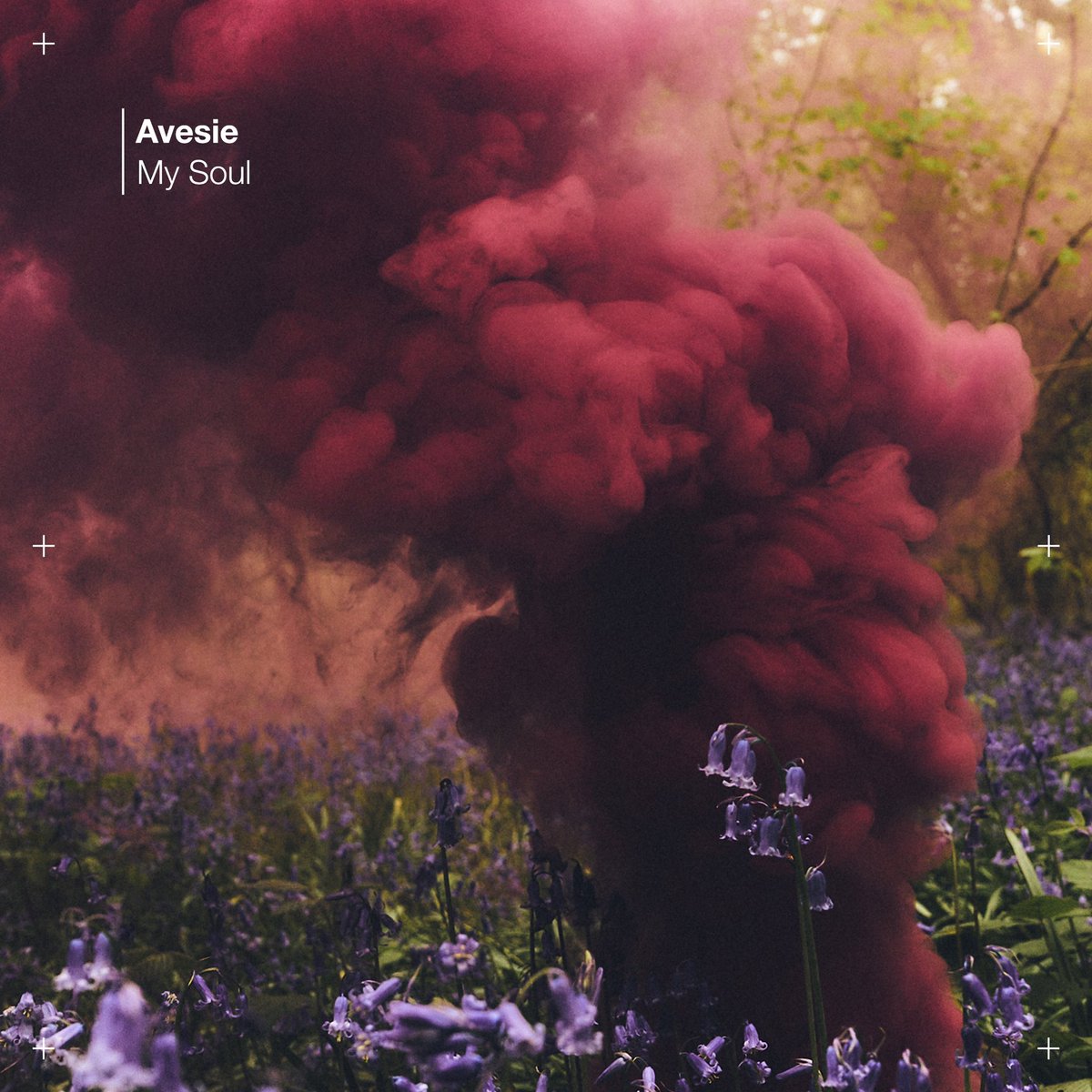 Avesie (@avesie) on Twitter photo First release of 2025 incoming! ❤️🔥
‘My Soul’ EP drops 07/02 on <a href="/KneeDeepInSound/">Knee Deep In Sound</a>. Beatport pre-order is live now - lock it in! 🙌
🔗 beatport.com/release/my-sou… First release of 2025 incoming! ❤️🔥
‘My Soul’ EP drops 07/02 on <a href="/KneeDeepInSound/">Knee Deep In Sound</a>. Beatport pre-order is live now - lock it in! 🙌
🔗 beatport.com/release/my-sou…