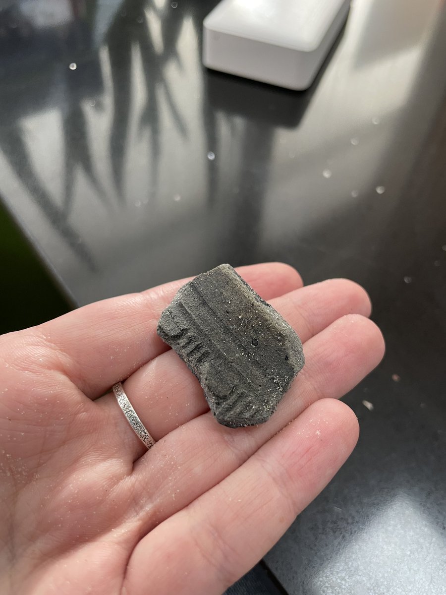 Maci Malanki tweet media